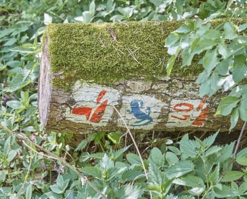 Wegweiser