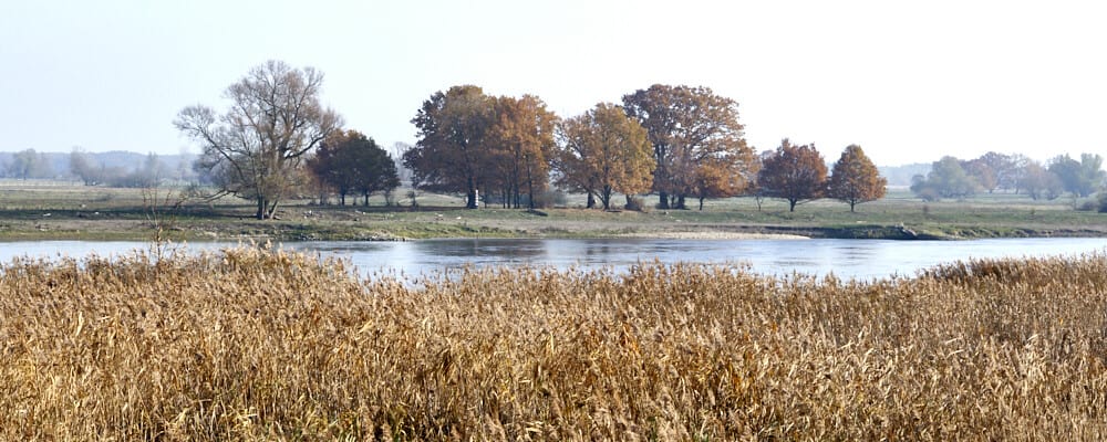 An der Oder im Herbst