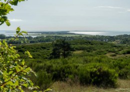 Hiddensee