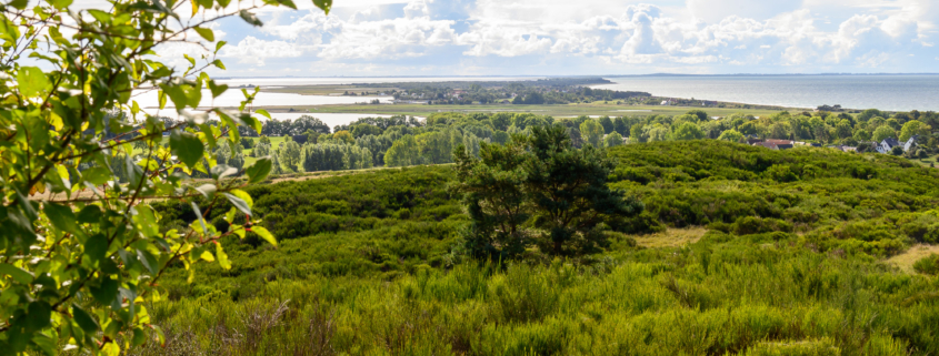 Hiddensee 2022